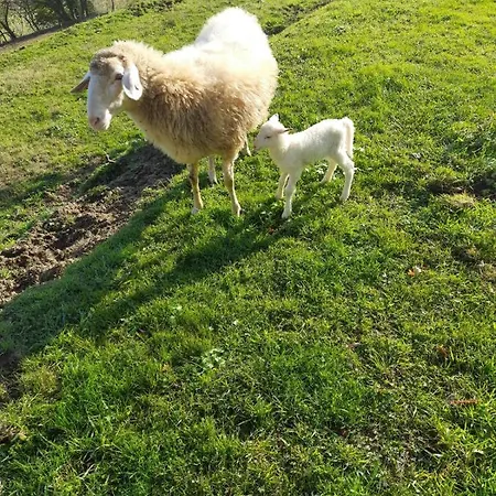 Сasa de vacaciones Tenuta La Scure La Cappella *