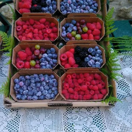 Сasa de vacaciones Tenuta La Scure La Cappella Cortona