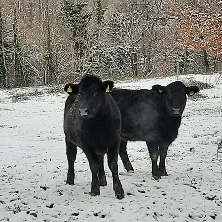 Tenuta La Scure La Cappella *