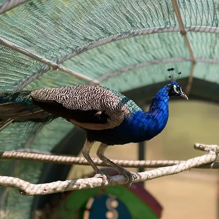 Сasa de vacaciones Tenuta La Scure La Cappella